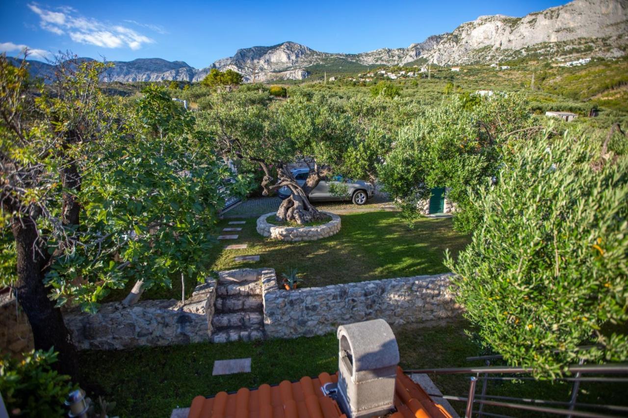 Villa Old Olive, 3Lovelyvillas Podgora Exterior photo